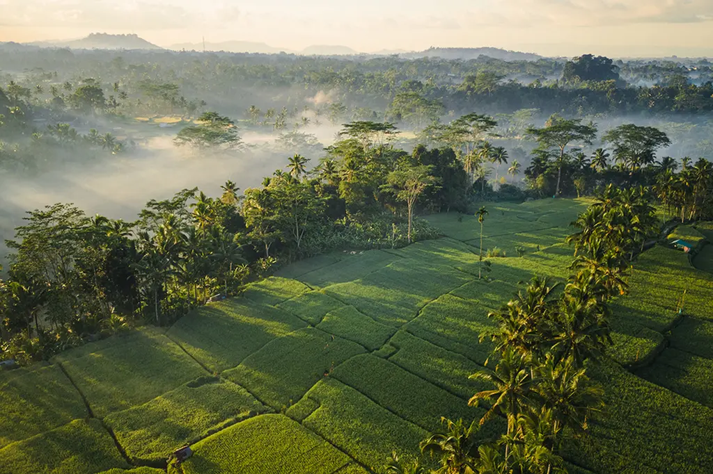 Ubud Mas Glamping  image 2
