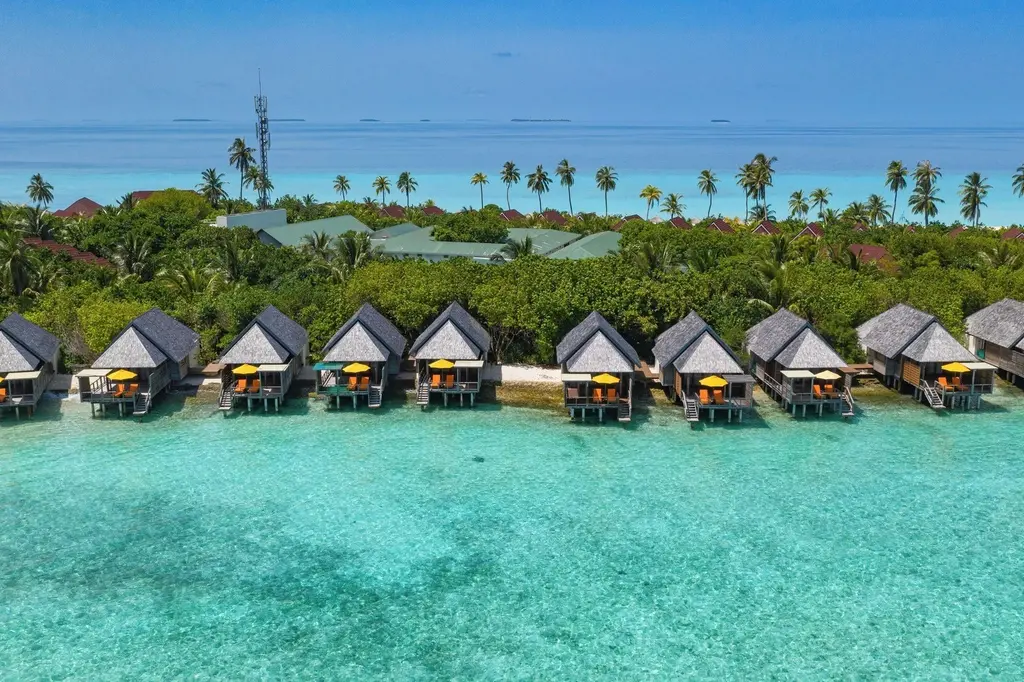 Dhigufaru Island Resort image 5