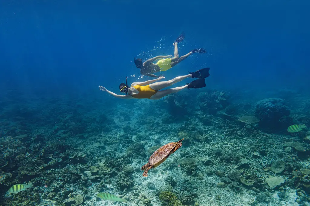 The Halcyon Private Isles Maldives, Autograph Collection image 19