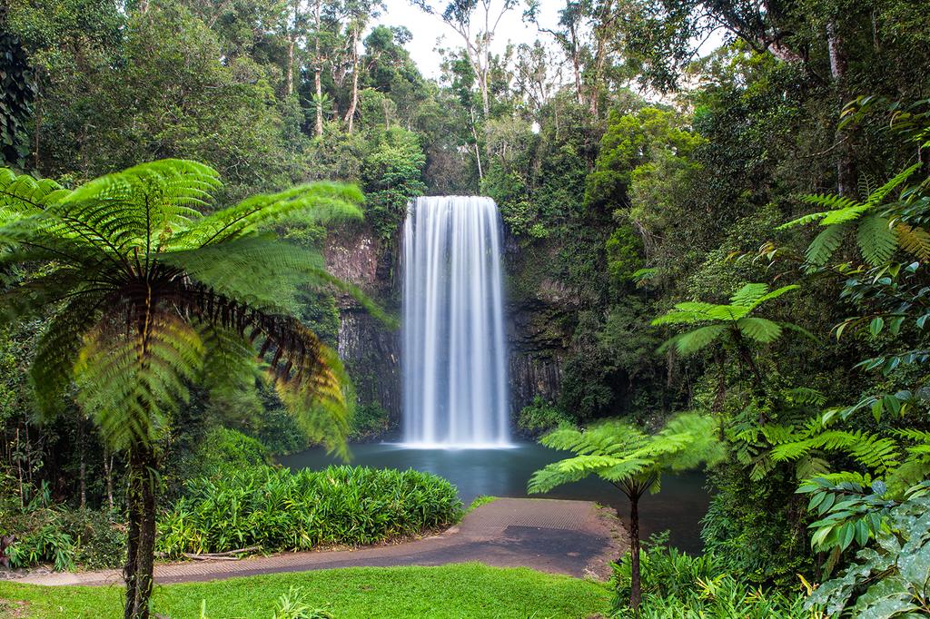 The Sebel Palm Cove image 15