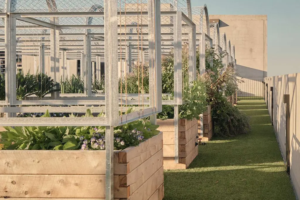 The Calile Hotel image 9