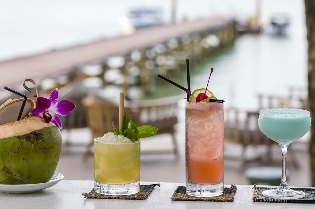 Barceló Coconut Island image 10