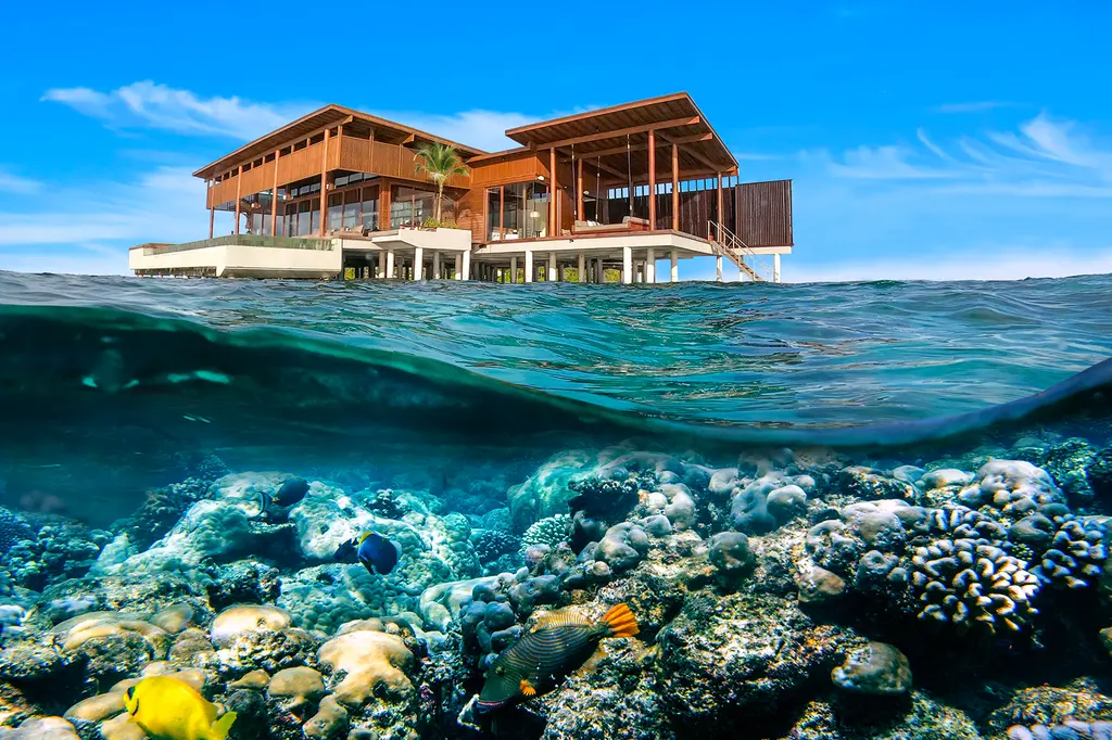 Park Hyatt Maldives Hadahaa image 18