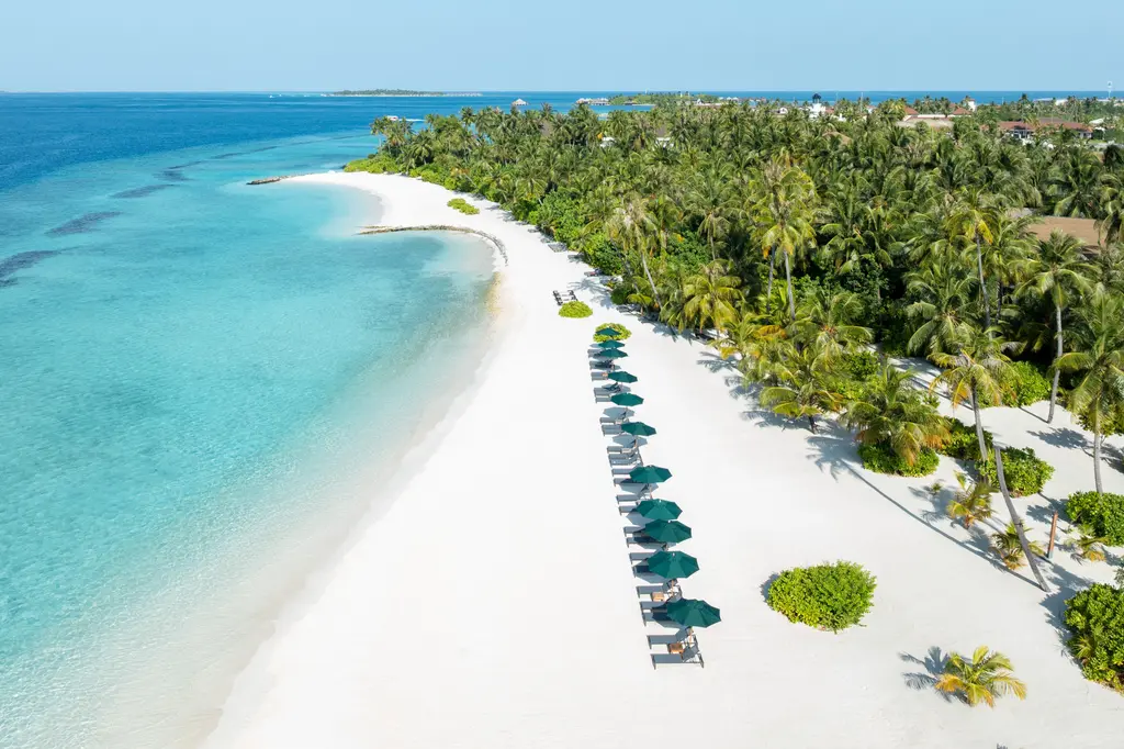 SAii Lagoon Maldives, Curio Collection by Hilton  image 14