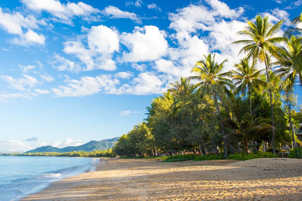 Oasis at Palm Cove image 10