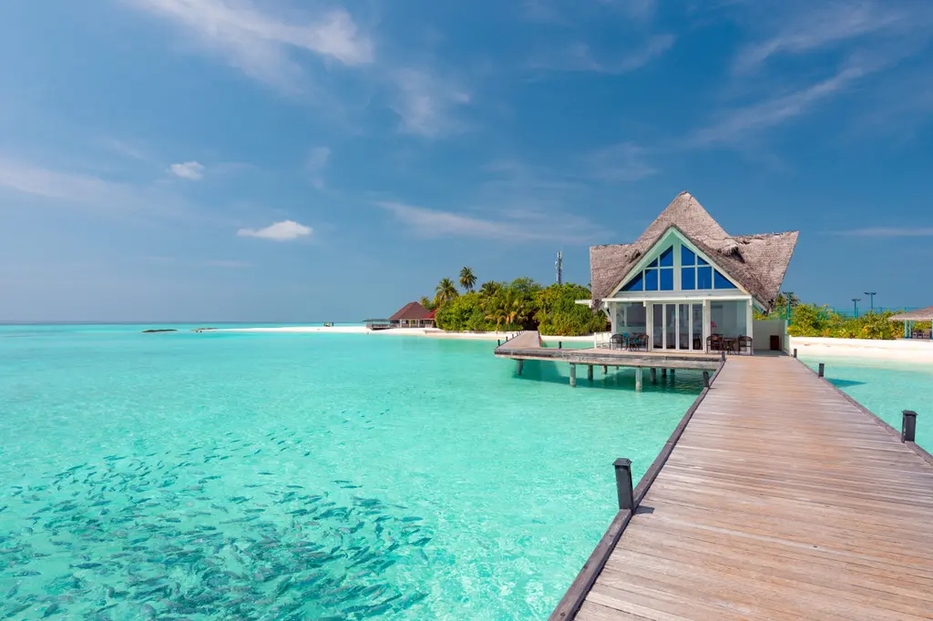 Dhigufaru Island Resort image 5