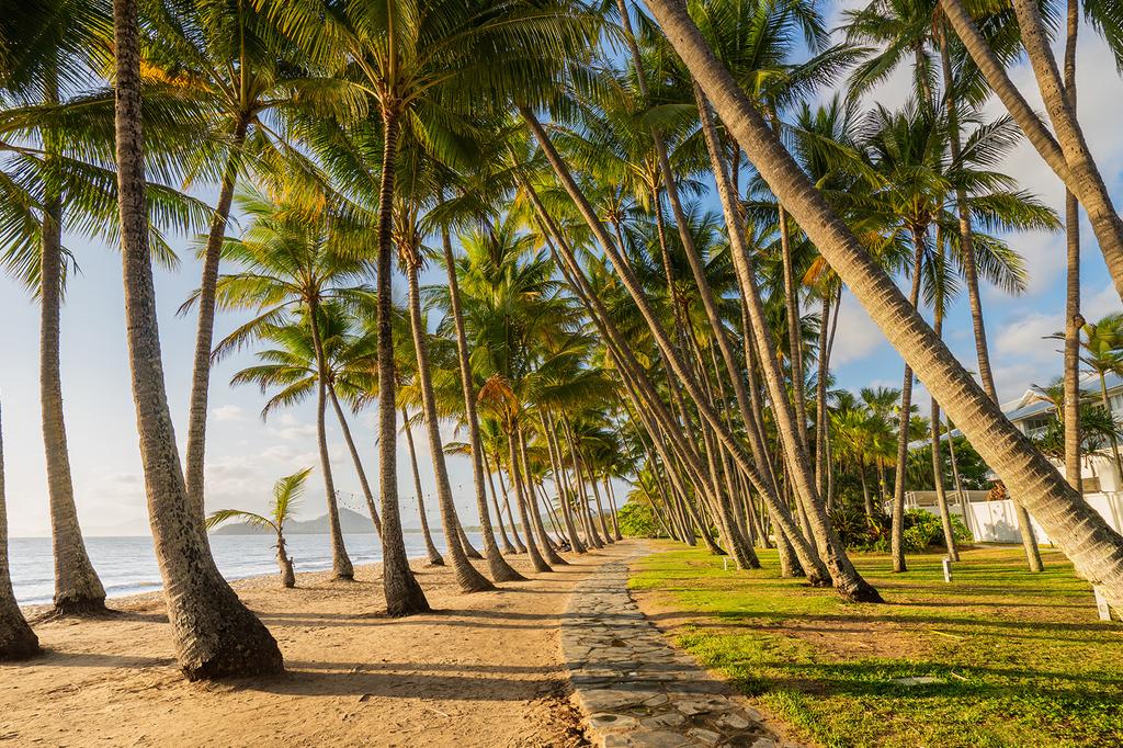 Oasis at Palm Cove image 5