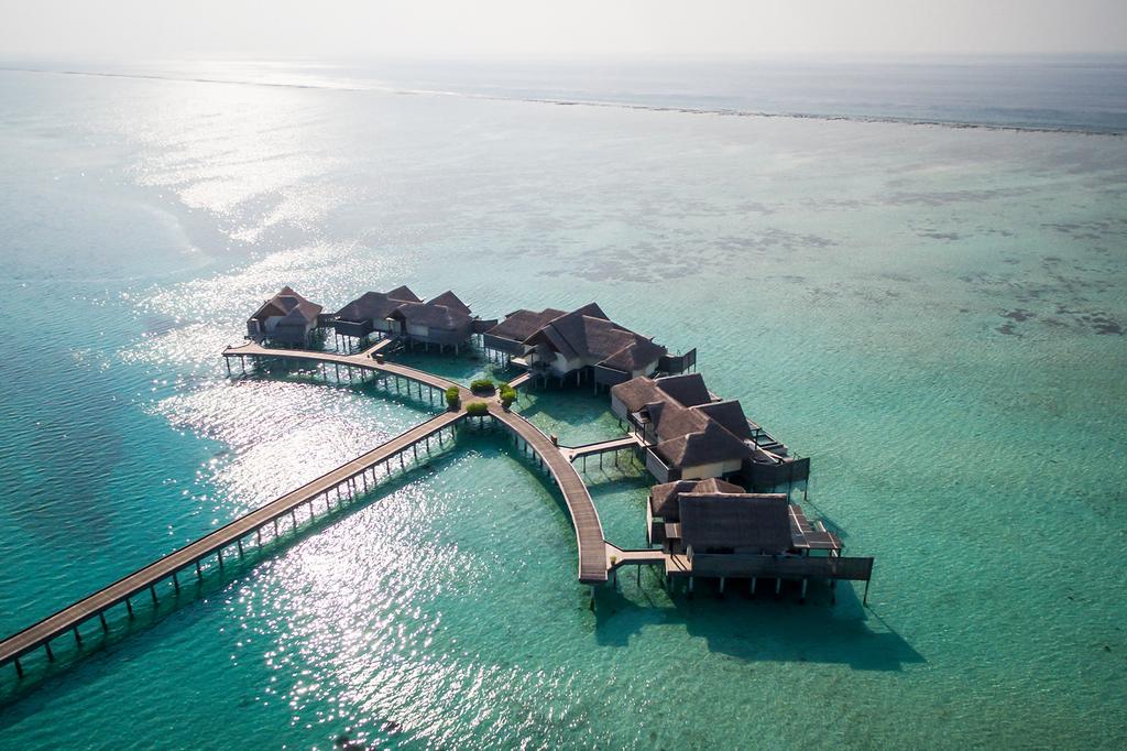 Niyama Private Islands Maldives image 13