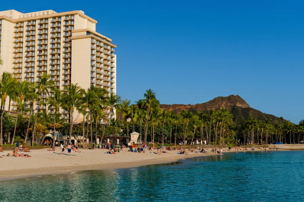 The Twin Fin Hotel image 1