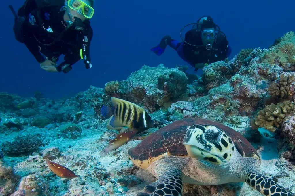 Six Senses Fiji image 9