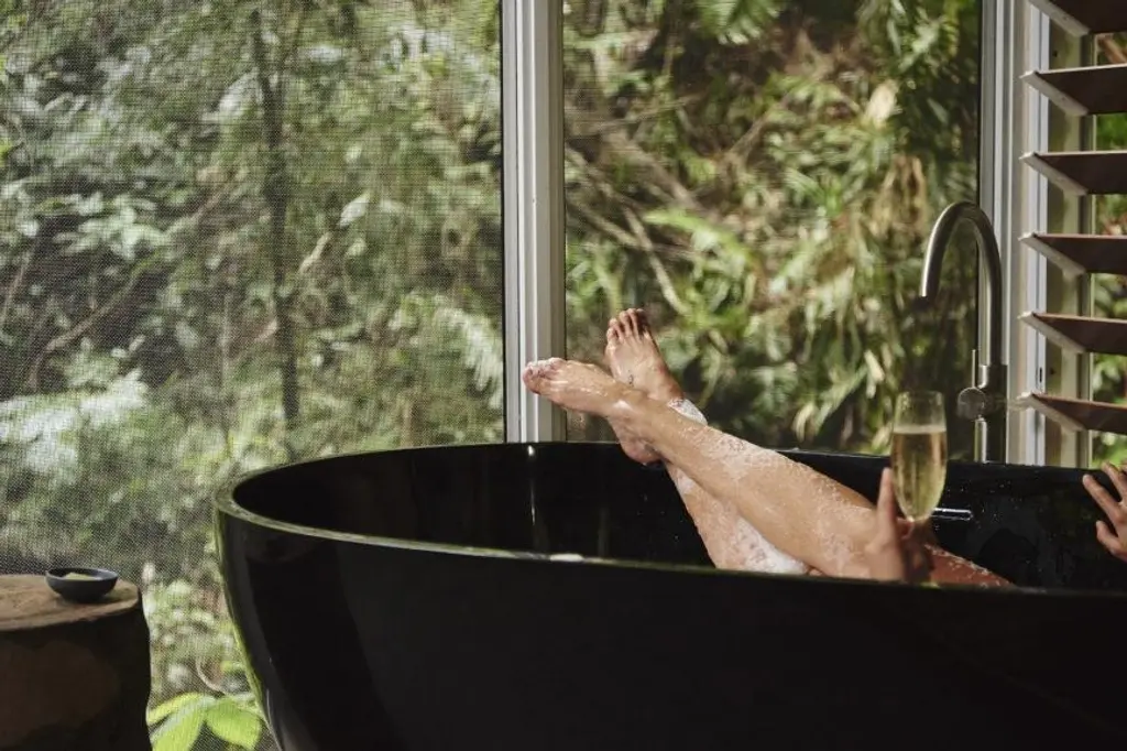 Daintree Ecolodge image 13