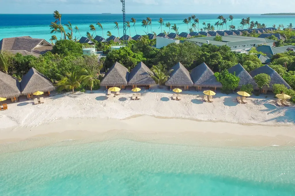 Dhigufaru Island Resort image 14