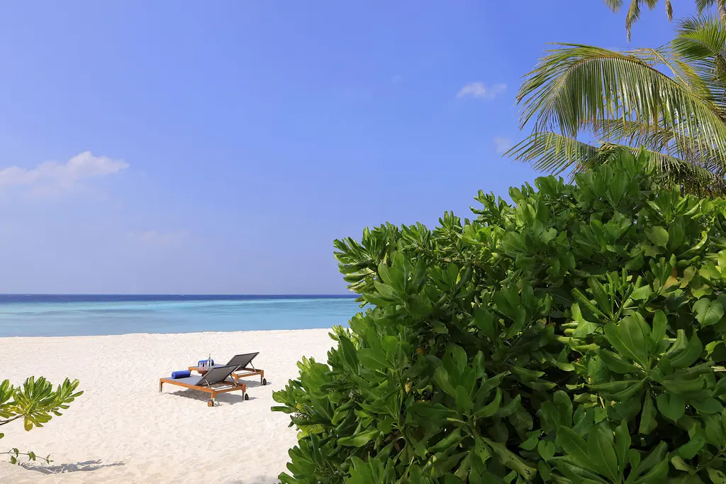 Avani+ Fares Maldives Resort image 19