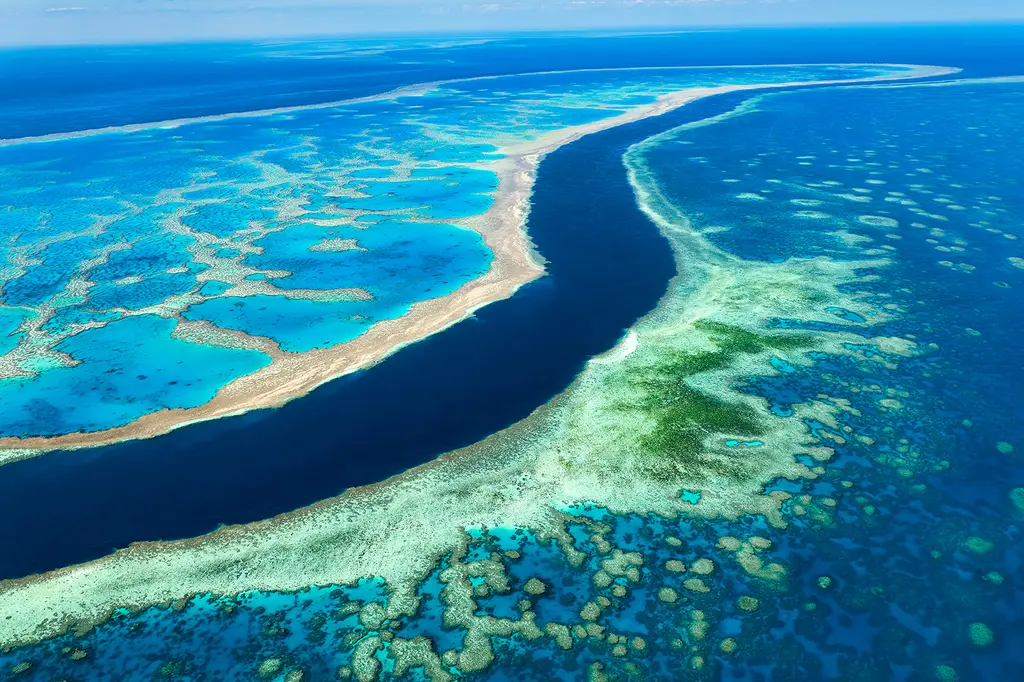 Shangri-La The Marina, Cairns image 5
