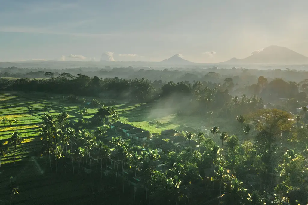 Kappa Senses Ubud image 2