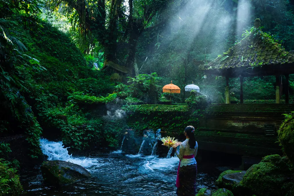 Anantara Ubud Bali Resort image 14