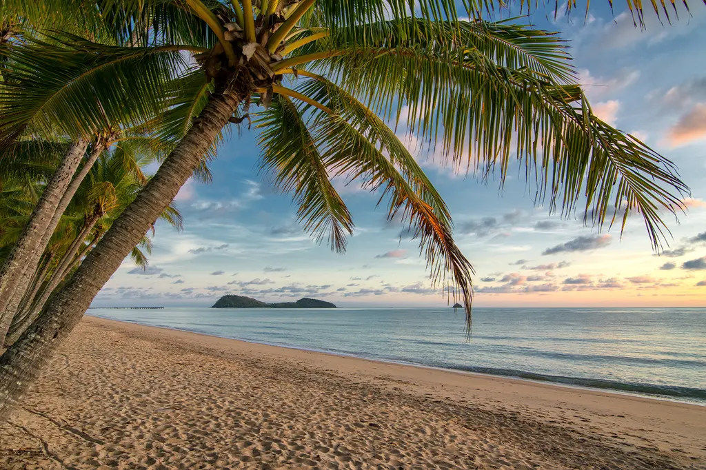 Drift Palm Cove image 8
